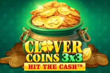 x333